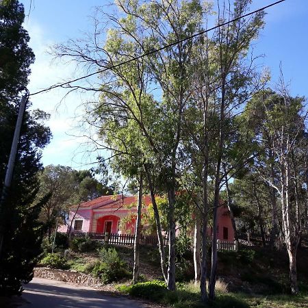 Casas Rurales "Paraje El Cajal" Ojós Εξωτερικό φωτογραφία