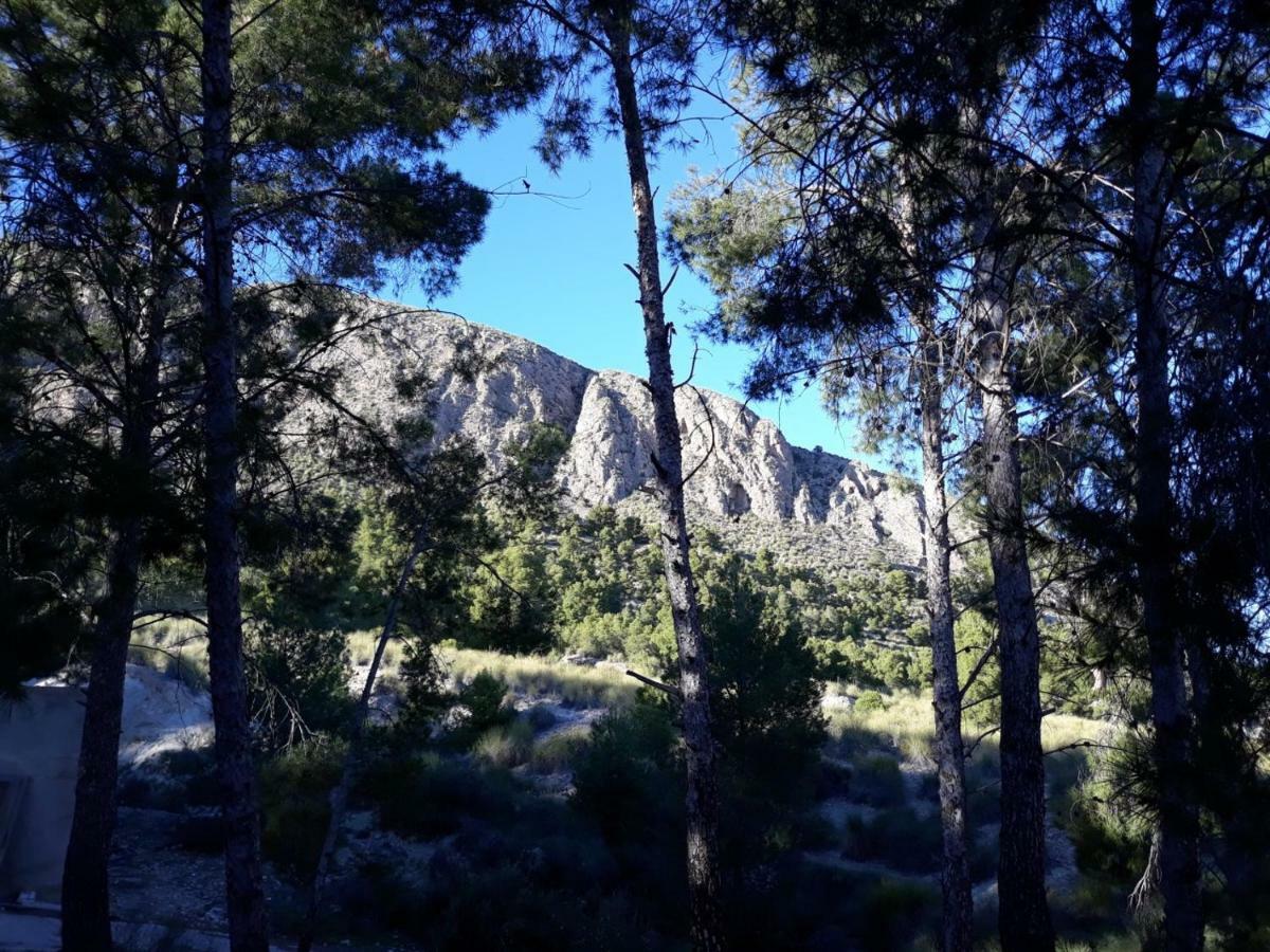 Casas Rurales "Paraje El Cajal" Ojós Εξωτερικό φωτογραφία